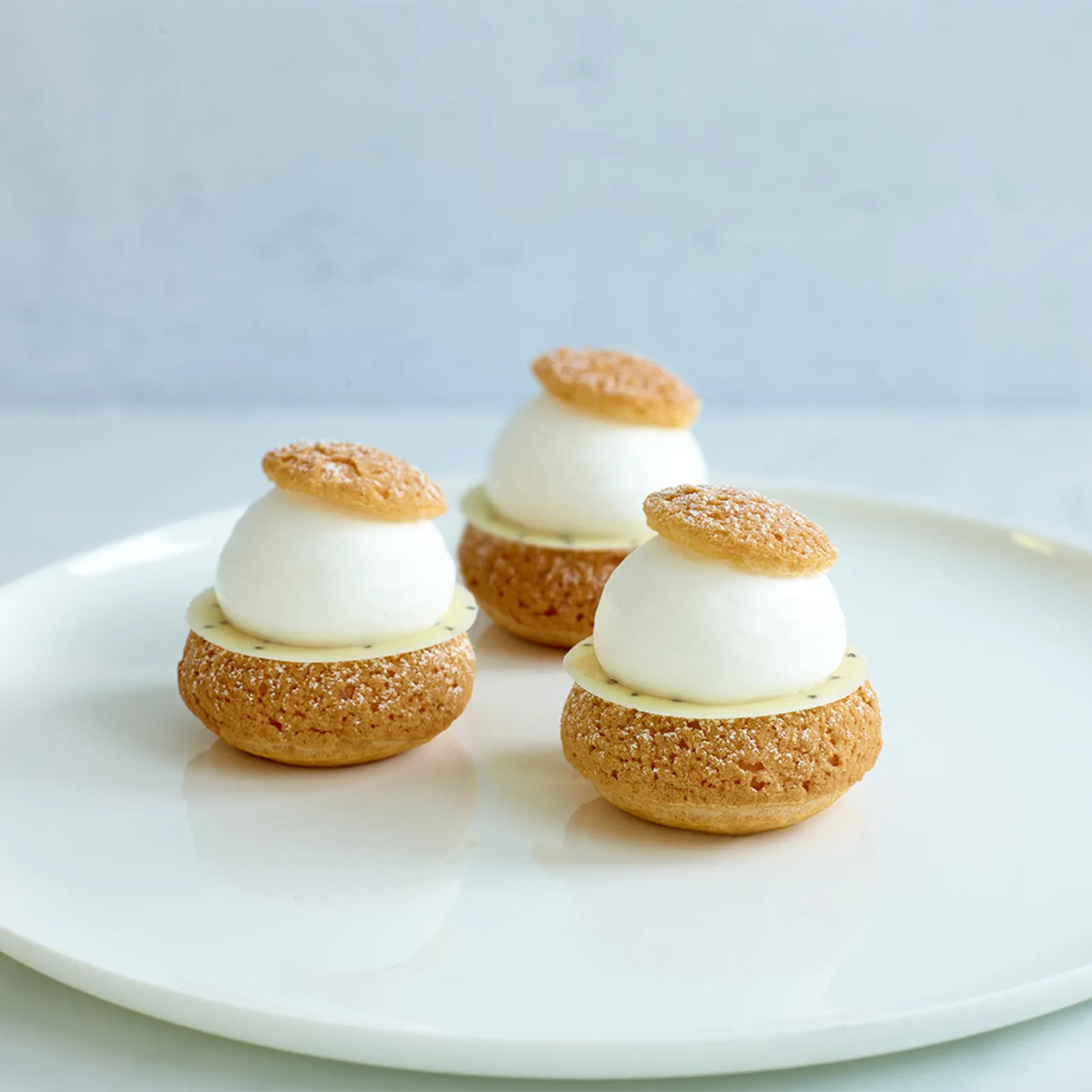 PASO A PASO クリーム Crema para Batir Montamix - Puratos